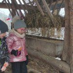 phoca_thumb_m_zajci a zvtka 17 Fotogalerie
